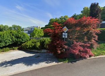 slovakia/trencin/attraction/drevena-korytnacka