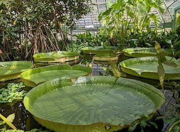 switzerland/basel/attraction/university-of-basel-botanical-garden