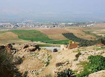 jordan/ajloun-castle/attraction/dumat-hijjah-al-athariyah