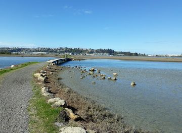 new-zealand/hawke-s-bay/attraction/pandora-pond