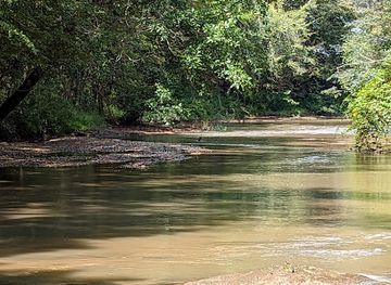 alabama/bankhead-national-forest/attraction/tuskegee-national-forest