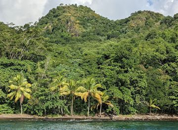 saint-vincent-and-the-grenadines/tobago-cays-marine-park/attraction/byahaut