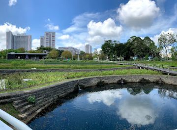 singapore/ang-mo-kio/attraction/cleansing-biotope