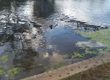 ecuador/quito/attraction/papallacta