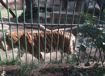 south-africa/pretoria/attraction/hartbeespoort-dam-snake-and-animal-park