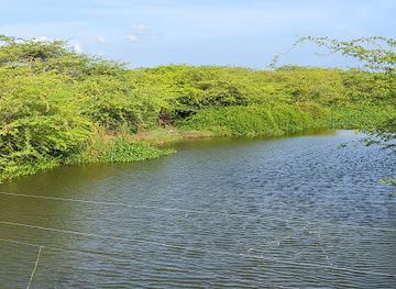 sri-lanka/bundala-national-park/attraction/crocodile-view-point