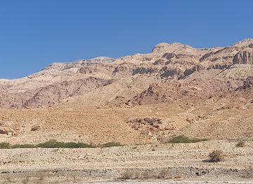 jordan/southern-jordan-valley/attraction/wild-salt-shore