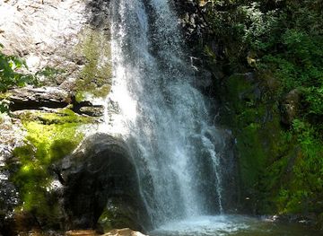 california/sequoia-national-park/attraction/crystal-cave-sequoia-national-park