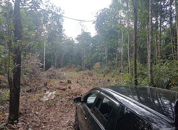 guyana/ituni/attraction/howard-s-homestead