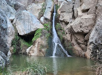 california/death-valley-national-park/attraction/darwin-falls-trailhead