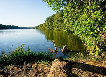 tennessee/hatchie-river-area/attraction/lake-graham