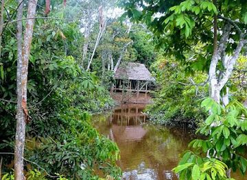 peru/pacaya-samiria-national-reserve/attraction/plaza-moralillos