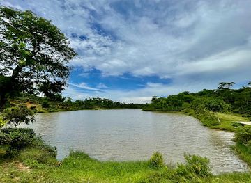 bangladesh/lawachara-national-park/attraction/vurvuria-lake