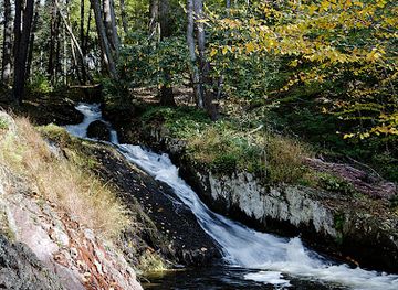 new-jersey/appalachian-trail/attraction/tillman-ravine