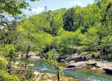 kentucky/big-south-fork-national-river-and-recreation-area/attraction/burnt-mill-loop-trail