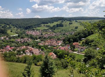 romania/sighisoara/attraction/rezervatia-de-stejari-seculari-de-pe-platoul-breite