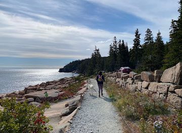 maine/mount-desert-island/attraction/ocean-path-trailhead