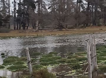 chile/pichilemu/attraction/horse-rides-on-the-beach