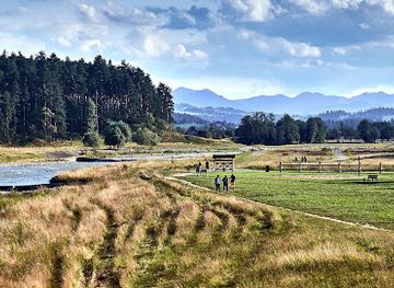 poland/podhale/attraction/owca-rowerzysta