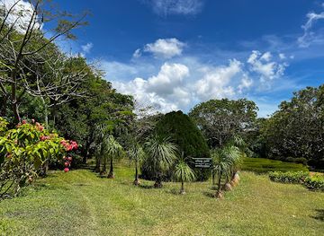 sri-lanka/bundala-national-park/attraction/dry-zone-botanic-gardens-hambantota