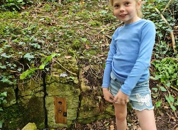 united-kingdom/llandudno/attraction/marl-woods-fairy-door