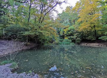 austria/vienna/liesing/attraction/maurer-wald