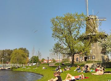 netherlands/bollenstreek/attraction/rijksmuseum-boerhaave