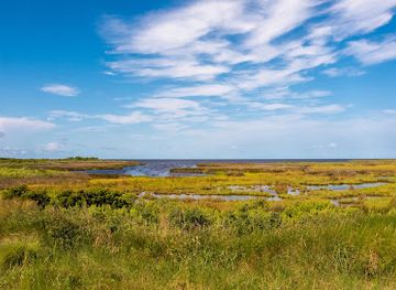 north-carolina/coastal-plain/attraction/pea-island-national-wildlife-refuge