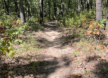 missouri/southeast-missouri/attraction/st-joe-state-park