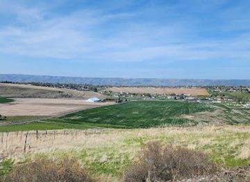 idaho/lewiston/attraction/two-bad-labs-vineyard