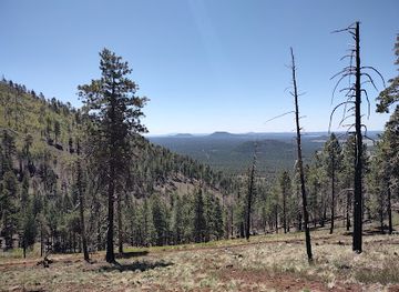 arizona/san-francisco-peaks/attraction/kendrick-mountain-wilderness