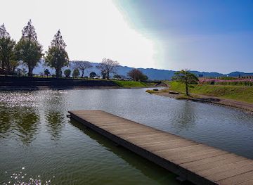 japan/chikugo/attraction/cosmos-park