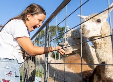 australia/brisbane/attraction/trevena-glen-farm