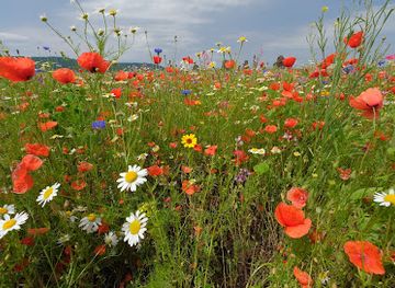 germany/hesse/attraction/meissner-kaufunger-wald-nature-park