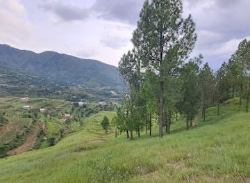 pakistan/swat/attraction/shahdaaga-top