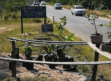 south-africa/hluhluwe-imfolozi-park/attraction/isiphaphalazi-butterfly-dome