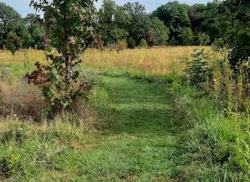 ohio/western-reserve/attraction/lippincott-bird-sanctuary