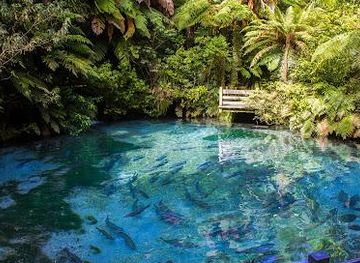 new-zealand/rotorua/attraction/paradise-valley-springs