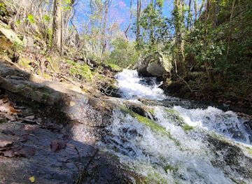 Talladega National Forest