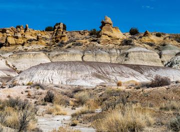 new-mexico/sangre-de-cristo-mountains/attraction/bisti-de-na-zin-wilderness
