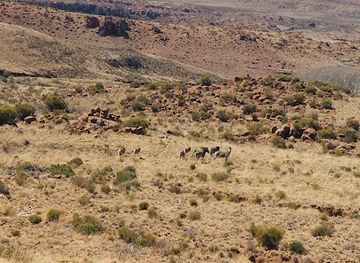 south-africa/eastern-cape/attraction/bergplaas-nature-reserve