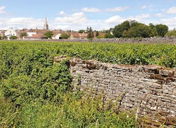 france/cote-des-blancs/attraction/chateau-de-meursault