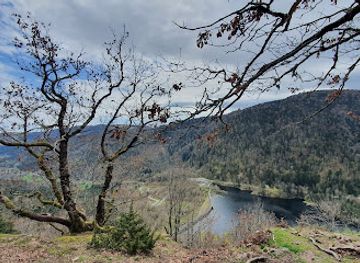 france/vosges-mountains/attraction/cascade-du-wasserfall