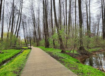 poland/masovia/attraction/park-olszyna