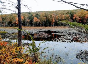 massachusetts/berkshires/attraction/fountain-pond-state-park