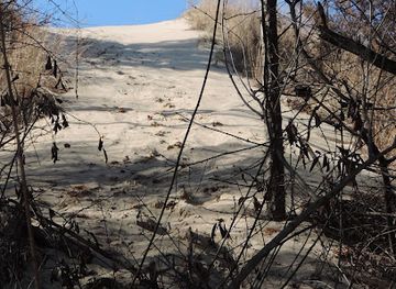 indiana/the-calumet-region/attraction/diana-dunes-dare