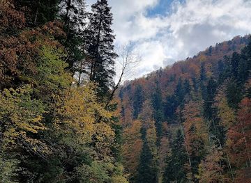 romania/buila-vanturarita-national-park/attraction/stramtorile-luncavatului