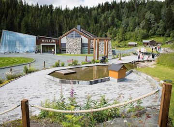 norway/rauland/attraction/vest-telemark-museum-eidsborg