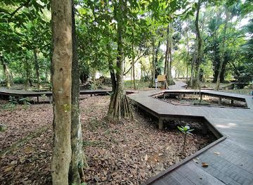 indonesia/west-kalimantan/attraction/gallery-of-forest-products-of-west-kalimantan