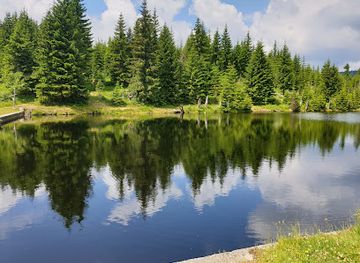 germany/bavarian-forest-national-park/attraction/reschbachklause